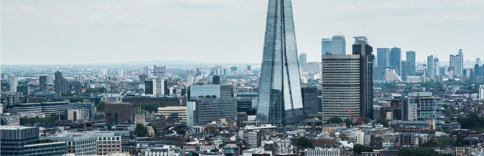 regional consultancy services regional consultancy services