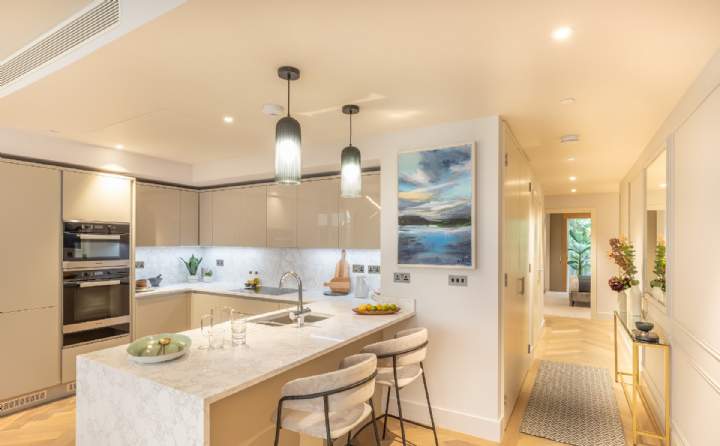 Open kitchen in show apartment